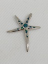 Estrella de mar