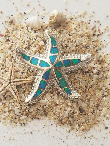 Estrella de Mar